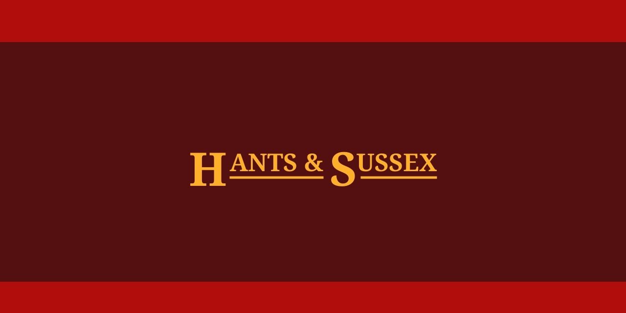 Hants and Sussex livery sample