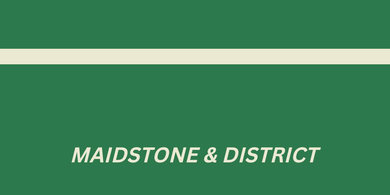 Maidstone and District livery sample