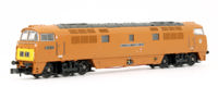 2D-003-CHELT01 Class 52 'Western' D1015 "Western Champion" in Golden Ochre - Cheltenham Model Centre Limited Edition