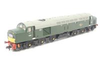 Class 40 D396 in BR green - separated from twin pack