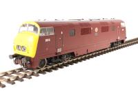 Class 42 Warship D815 "Druid" in BR maroon with full yellow ends