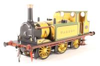 Class A1 Terrier 0-6-0T 54 "Waddon" in LBSCR Yellow - Special Edition for N'Thusiasts Club