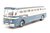 98470 Yellow Buses 'Greyhound Lines'