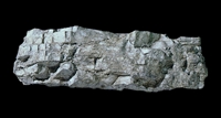 C1244
