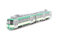 NT60 Tokyo Railway Series 300 (301F Tamaden Colour)