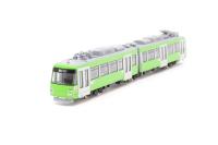 NT80 Tokyo Railway Series 300 (304F Apple Green)