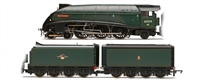 Class A4 4-6-2 60019 "Bittern" in BR Green with Double Tender - Special Edition