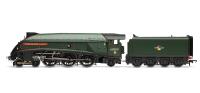 Class A4 4-6-2 60009 "Union Of South Africa" in BR Green with late crest with etched nameplates - The Great Goodbye