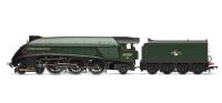 Class A4 4-6-2 60008 "Dwight D. Eisenhower" in BR Green with late crest with etched nameplates - The Great Goodbye