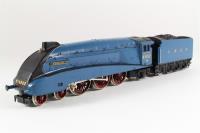 Class A4 4-6-2 'Seagull' 4902 in LNER Blue