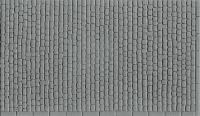 SSMP204
