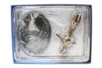 STOSC-Issue43 Species 8472 Bioship - Star Trek: Voyager