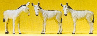 Donkeys (3)
