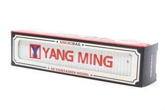 40' shipping container YANG MING