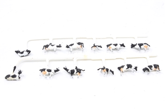 Cows
