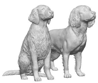 N Gauge - Pets, Wildlife & Livestock - English Springer Spaniels x2