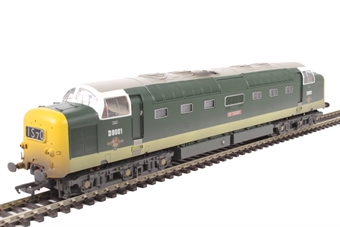 Class 55 Deltic D9001 'St. Paddy' in BR green with full yellow ends - weathered