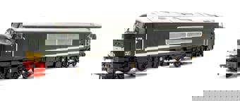 Class 46 Centre Headcode D138 BR Green (Small Yellow Panels) Diesel Locomotive