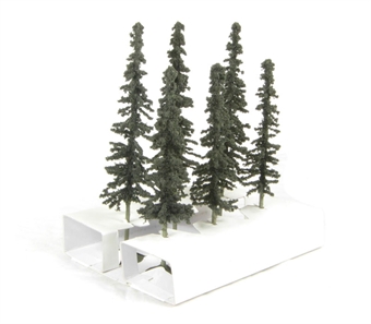 5" - 6" Conifer Trees - Pack Of 6