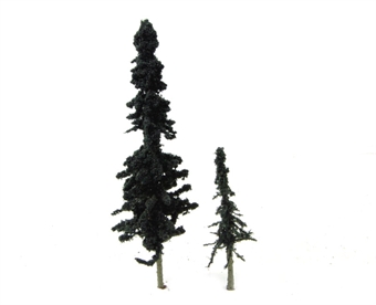 Pack of 36 x 2" - 4" Conifers