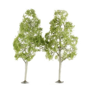 Pack of 2 x 8" Aspen trees