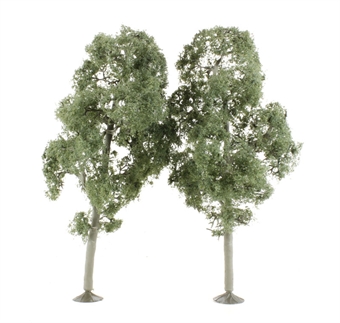 Pack of 2 x 8" Maple trees