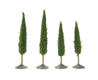 2.5" - 3" Premium Poplar Trees