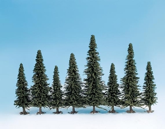 50 Fir Trees Assorted