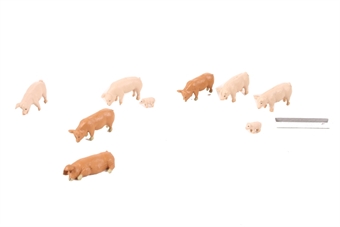 Pack of Pigs