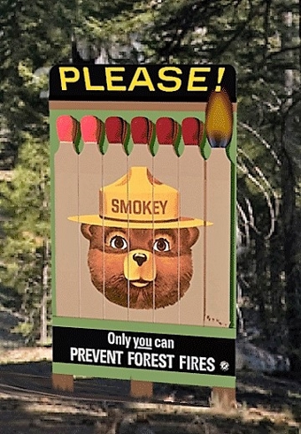 Small Smokey the Bear Billboard, Animated Neon Style Sign Kit, Limited Edition