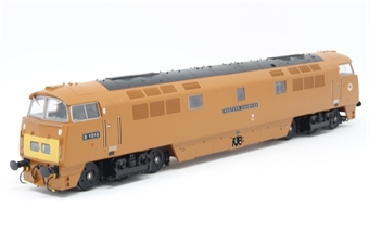 Class 52 D1015 'Western Champion' in BR Golden Ochre - Limited Edition of 300 for Cheltenham Models
