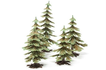 Fir trees (6)
