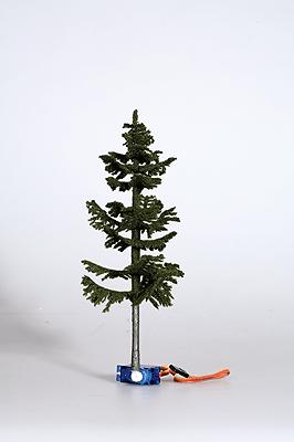 Digital Tree - Spruce