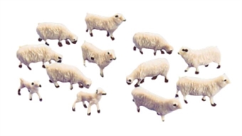 Sheep & lambs - pack of 12