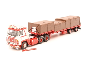 Scania 111 with gooseneck trailer 'Borl+ñngeortens'