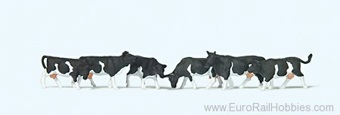 Cows, Black Markings 6
