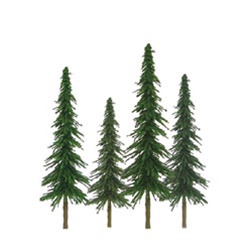 Spruce Trees