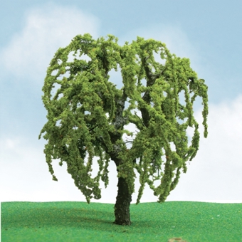 Willow Tree