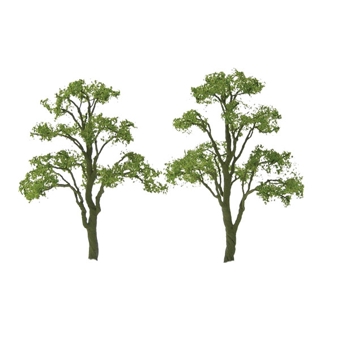 Professional Series Elm Trees 1.5" - pack of 6