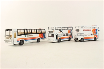 Stagecoach Set - Plaxton Paramount, Metrobus & AEC Routemaster