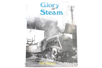 Glory of steam by Eric Treacy