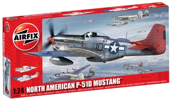 North American P-51D Mustang with USAF marking transfers