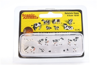 Holstein Cows (11)