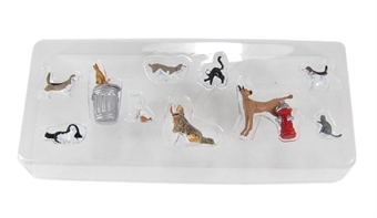 Mixed dogs & cats