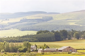 ID Backscenes - Series 206 'Hills and Dales' Pack B