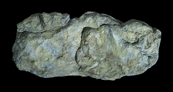Rock Mould - Washd Rock(10.5 x5")