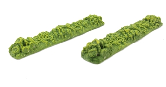 Row of Green Vegetables