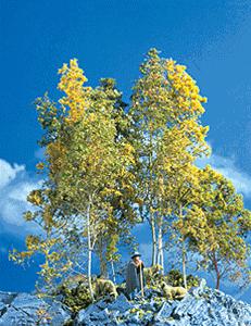 Super Trees Super Value Pack
