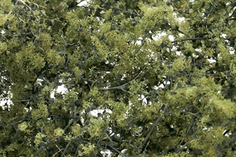 Foliage - Fine Leaf - Olive Green