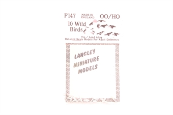 10 Wild Birds